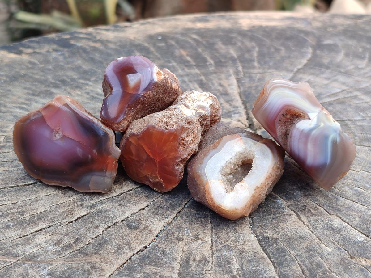 Polished On One Side Red Shashe River Agate Nodules x 35 From Shashe River, Zimbabwe