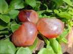 Polished Mini Jewellery Carnelian Agate Gemstone Hearts x 20 From Madagascar