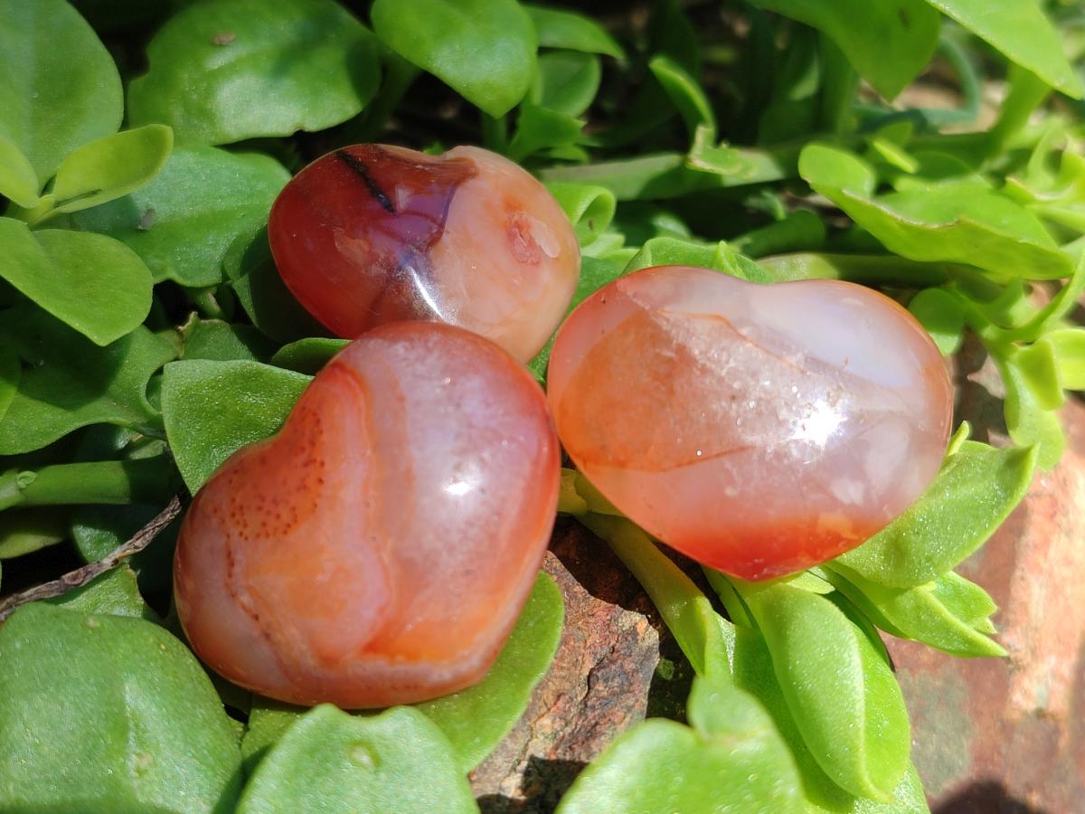 Polished Mini Jewellery Carnelian Agate Gemstone Hearts x 20 From Madagascar