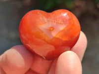 Polished Mini Jewellery Carnelian Agate Gemstone Hearts x 20 From Madagascar