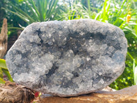 Natural Blue Celestite Geode Specimen x 1 From Sakoany, Madagascar