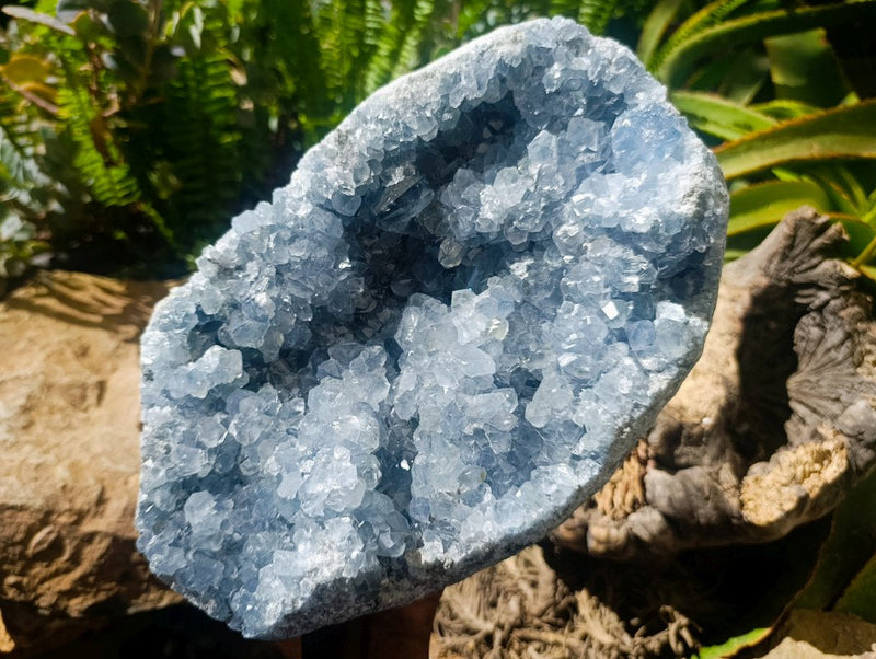 Natural XL Blue Celestite Geode Specimen x 1 From Sakoany, Madagascar - Toprock Gemstones and Minerals 