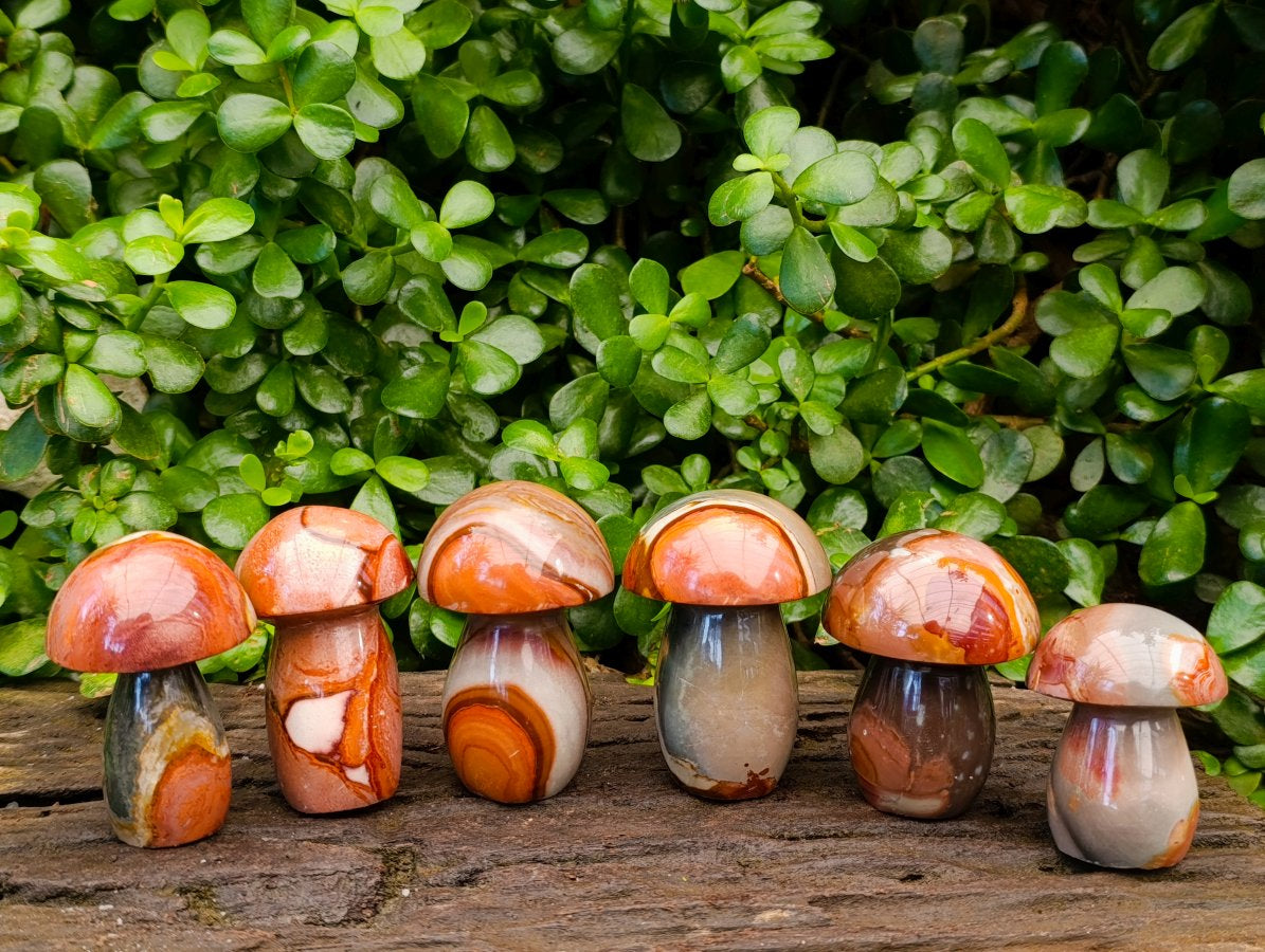 Polished Polychrome Jasper Mushrooms x 6 From NW Coast, Madagascar