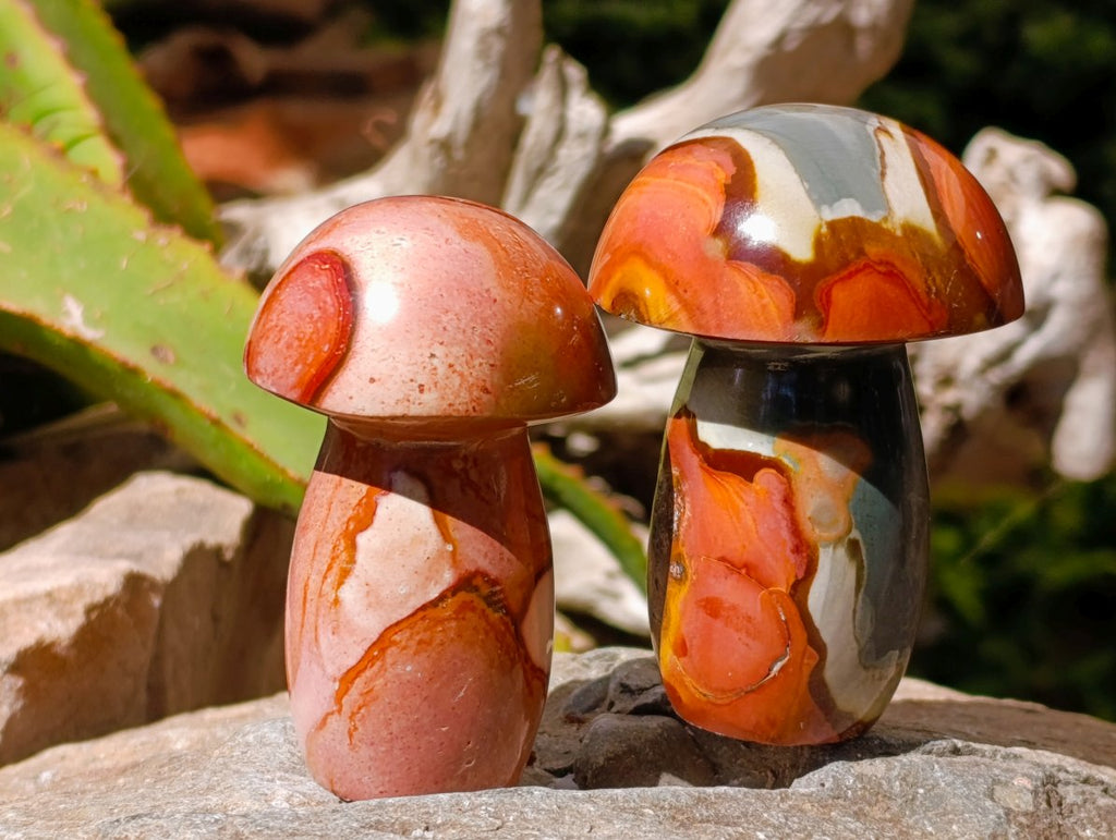 Polished Polychrome Jasper Mushrooms x 6 From NW Coast, Madagascar