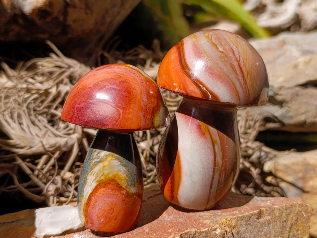 Polished Polychrome Jasper Mushrooms x 6 From NW Coast, Madagascar