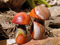Polished Polychrome Jasper Mushrooms x 6 From NW Coast, Madagascar