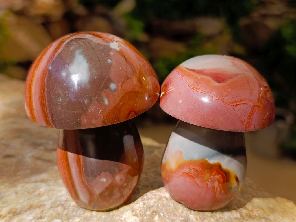 Polished Polychrome Jasper Mushrooms x 6 From NW Coast, Madagascar