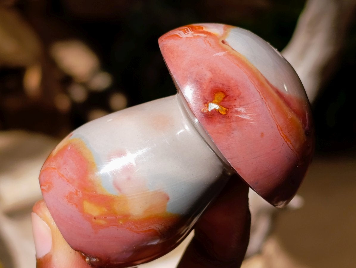 Polished Polychrome Jasper Mushrooms x 6 From NW Coast, Madagascar