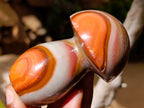 Polished Polychrome Jasper Mushrooms x 6 From NW Coast, Madagascar