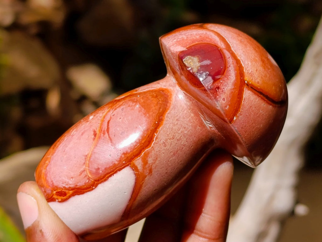 Polished Polychrome Jasper Mushrooms x 6 From NW Coast, Madagascar