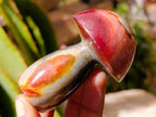 Polished Polychrome Jasper Mushrooms x 6 From NW Coast, Madagascar