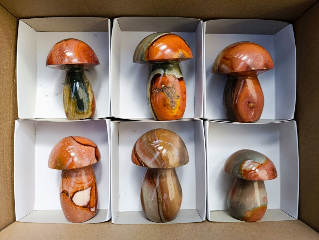 Polished Polychrome Jasper Mushrooms x 6 From NW Coast, Madagascar