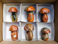 Polished Polychrome Jasper Mushrooms x 6 From NW Coast, Madagascar