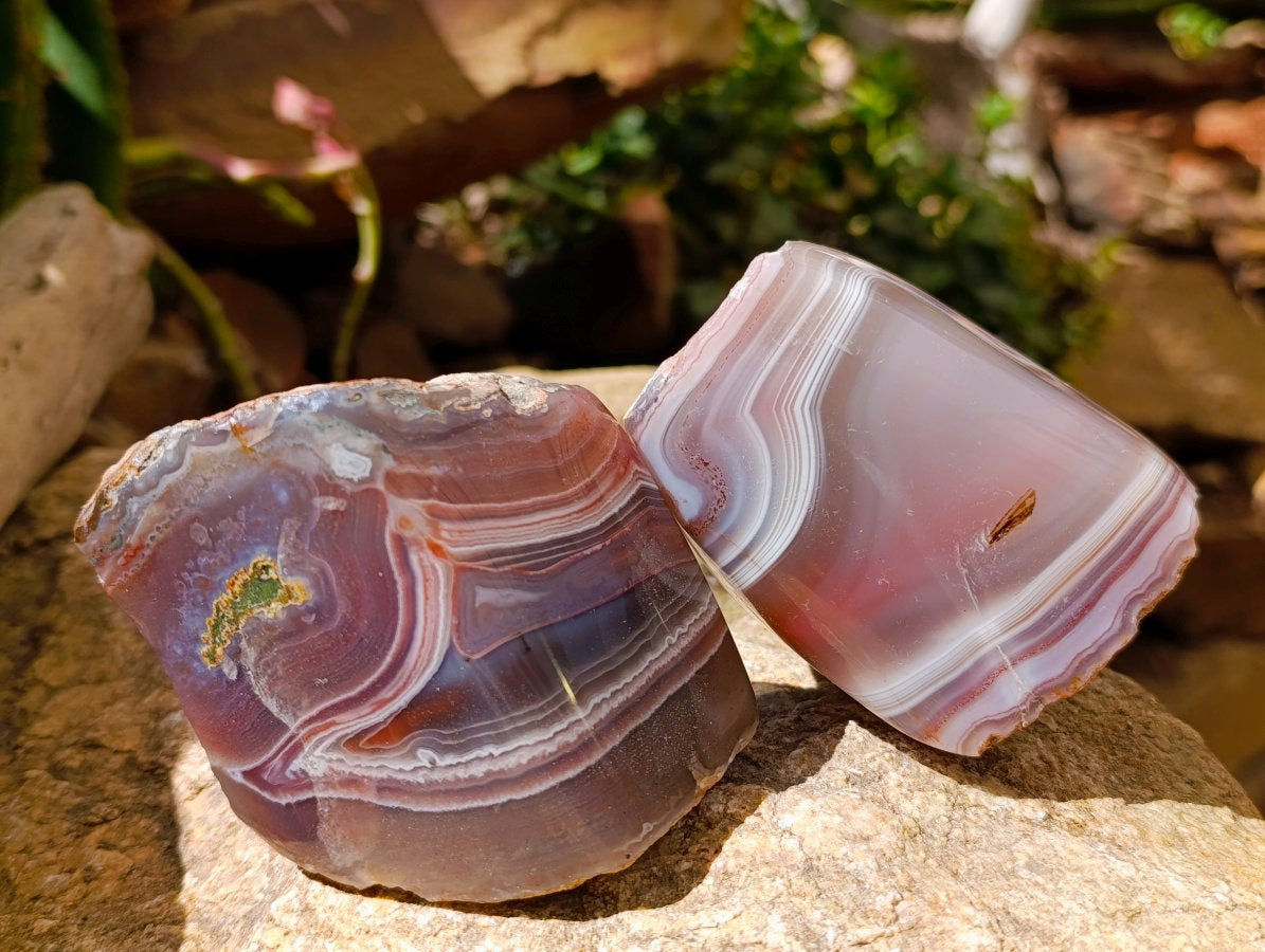 Polished On One Side Red Shashe River Agate Nodules x 6 From Shashe River, Zimbabwe