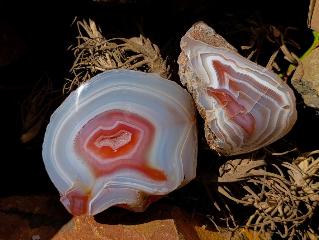 Polished On One Side Red Shashe River Agate Nodules x 6 From Shashe River, Zimbabwe