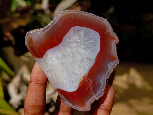 Polished On One Side Red Shashe River Agate Nodules x 6 From Shashe River, Zimbabwe