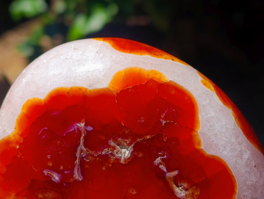 Polished Carnelian Agate Gemstone Standing Free Forms x 2 From Madagascar