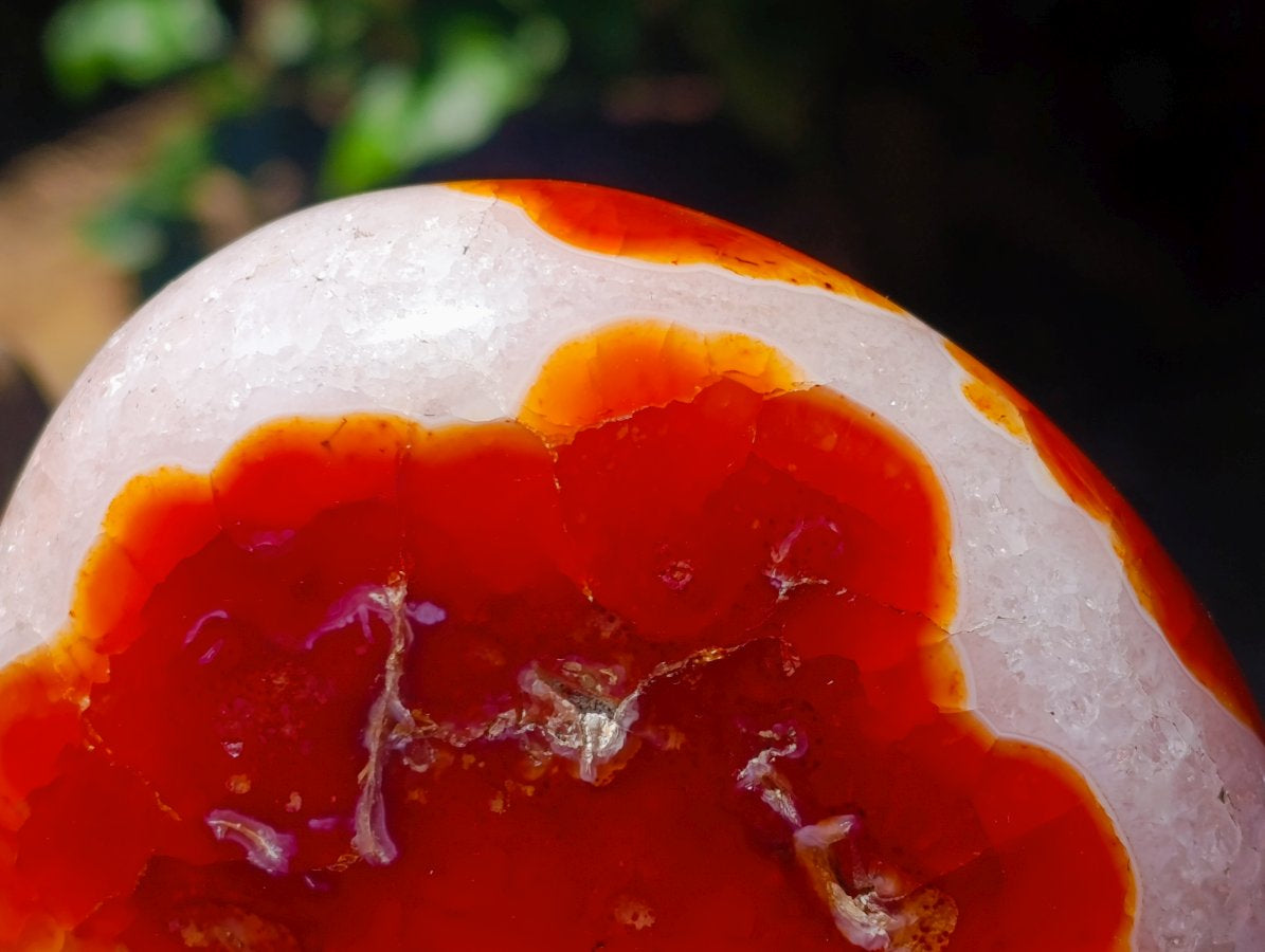 Polished Carnelian Agate Gemstone Standing Free Forms x 2 From Madagascar
