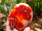 Polished Carnelian Agate Gemstone Standing Free Forms x 2 From Madagascar