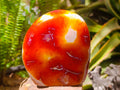 Polished Carnelian Agate Gemstone Standing Free Forms x 2 From Madagascar
