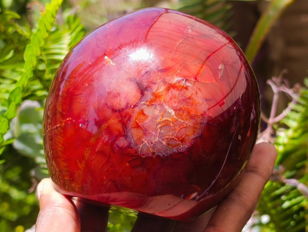 Polished Carnelian Agate Gemstone Standing Free Forms x 2 From Madagascar
