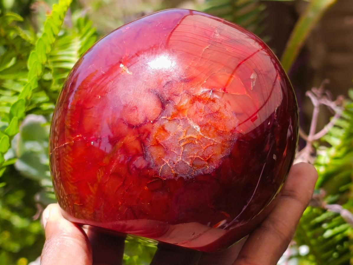 Polished Carnelian Agate Gemstone Standing Free Forms x 2 From Madagascar