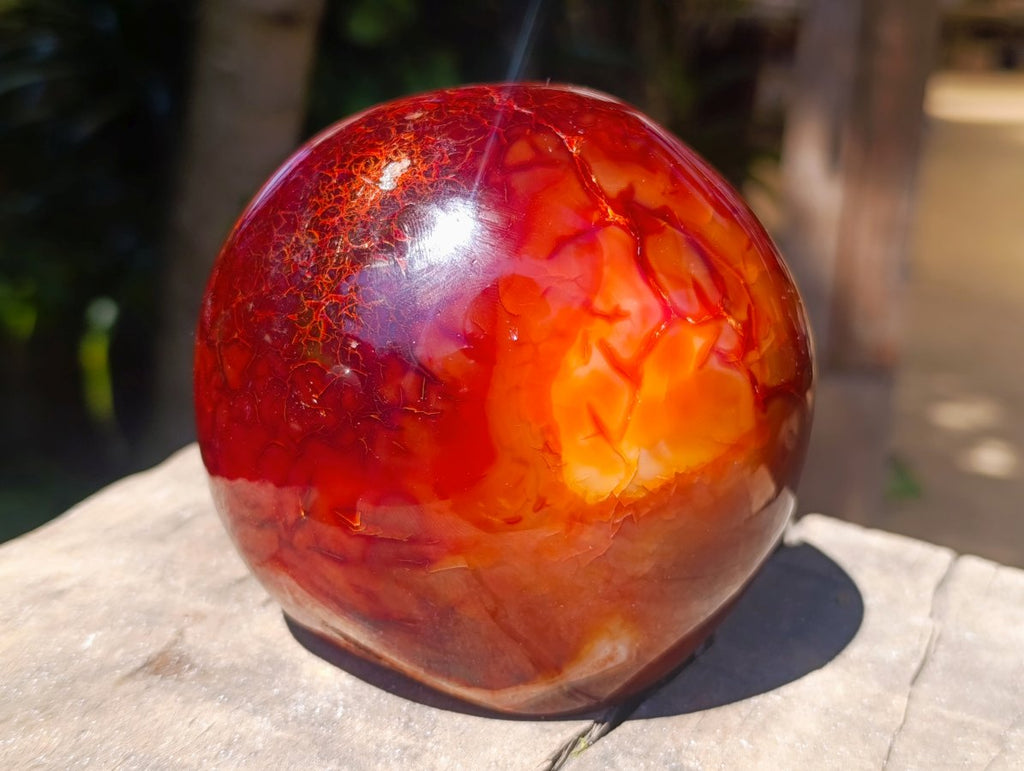 Polished Carnelian Agate Gemstone Standing Free Forms x 2 From Madagascar