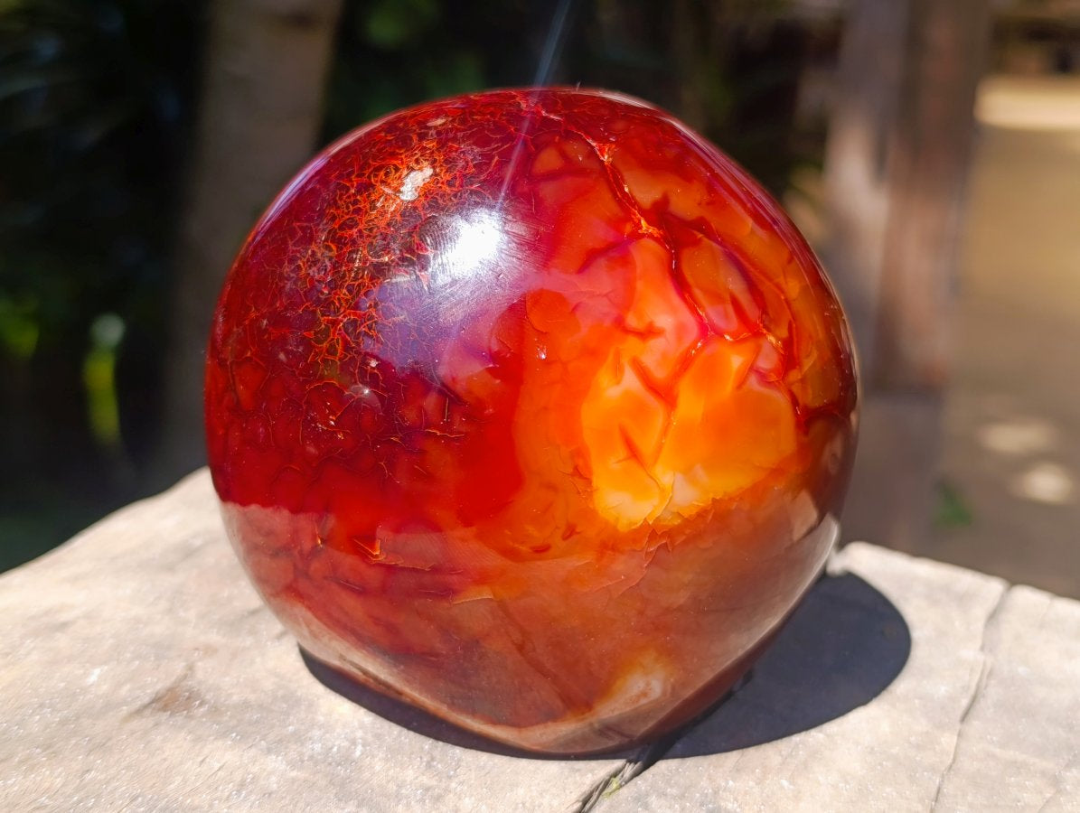 Polished Carnelian Agate Gemstone Standing Free Forms x 2 From Madagascar