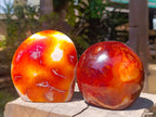 Polished Carnelian Agate Gemstone Standing Free Forms x 2 From Madagascar