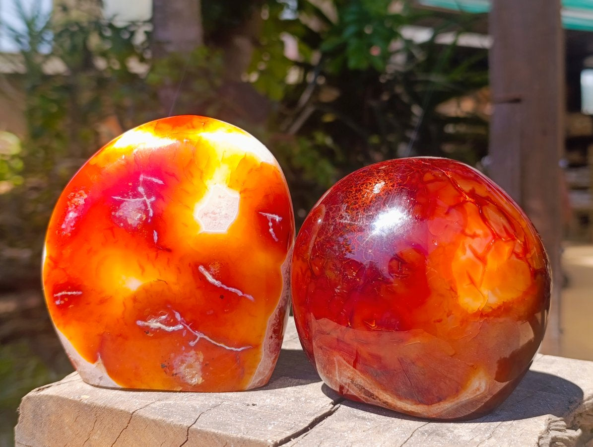 Polished Carnelian Agate Gemstone Standing Free Forms x 2 From Madagascar