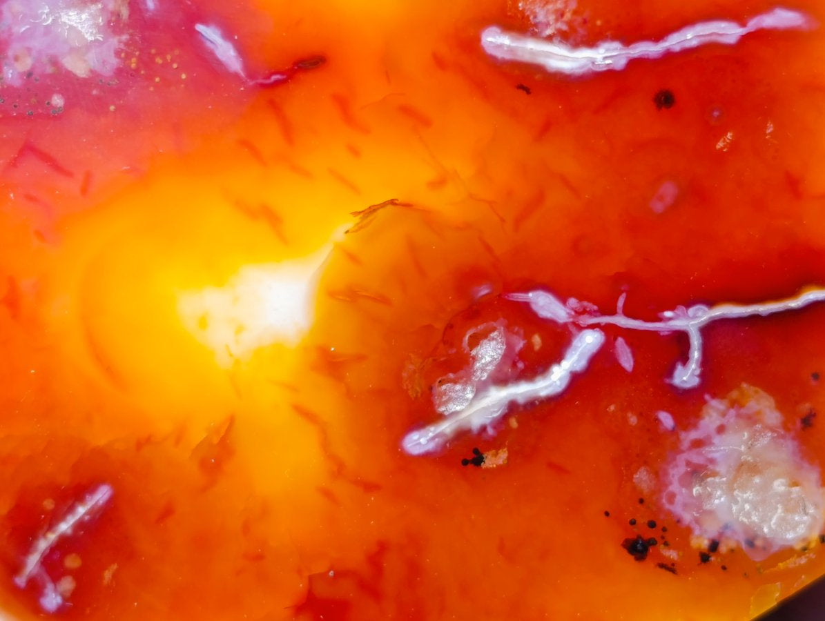Polished Carnelian Agate Gemstone Standing Free Forms x 2 From Madagascar