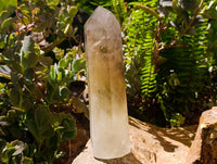 Polished Smokey Phantom Golden Citrine Crystal x 1 From Madagascar