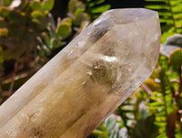 Polished Smokey Phantom Golden Citrine Crystal x 1 From Madagascar