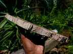 Polished Red Podocarpus Petrified Wood Slice x 1 From Mahajanga, Madagascar