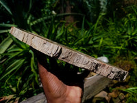 Polished Red Podocarpus Petrified Wood Slice x 1 From Mahajanga, Madagascar