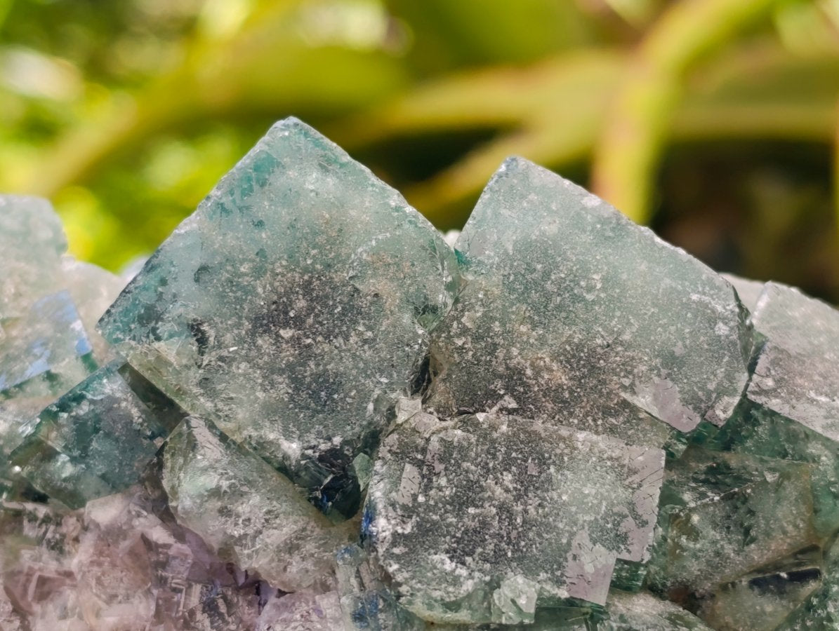 Natural Cubic Green Fluorite Cluster Specimens x 3 From Mandrosonoro, Madagascar