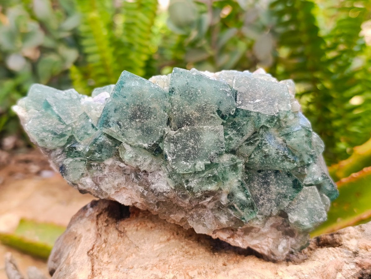 Natural Cubic Green Fluorite Cluster Specimens x 3 From Mandrosonoro, Madagascar