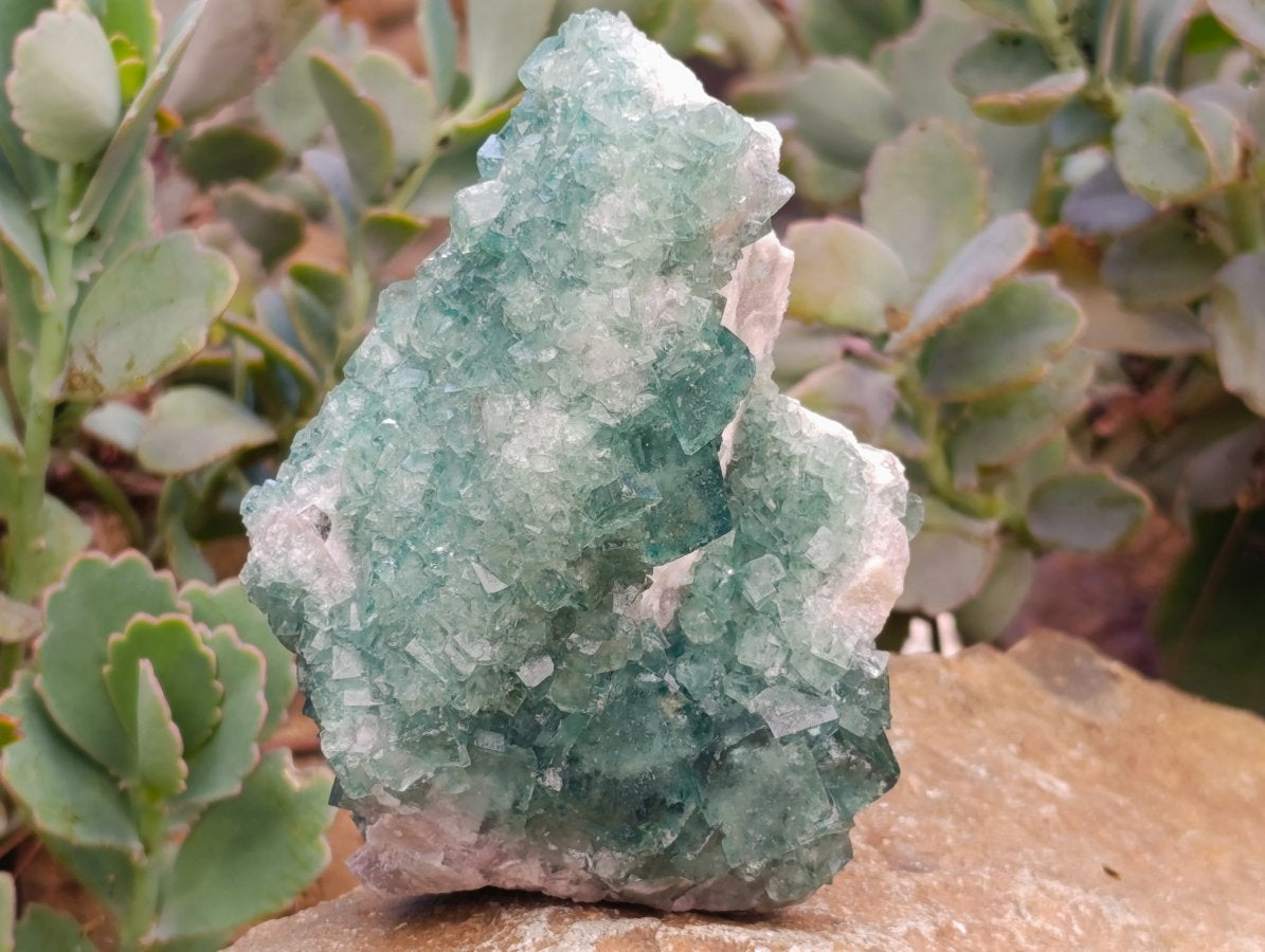 Natural Cubic Green Fluorite Cluster Specimens x 3 From Mandrosonoro, Madagascar