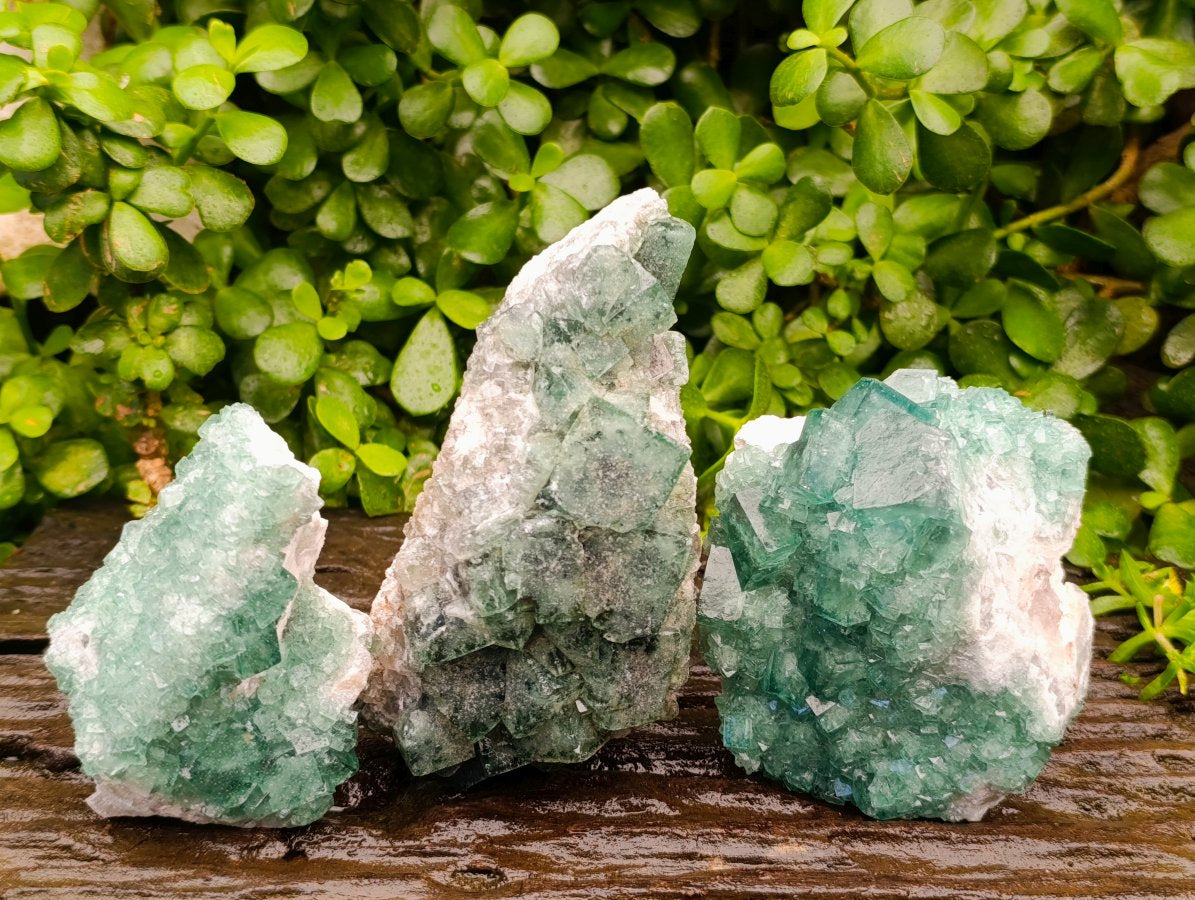 Natural Cubic Green Fluorite Cluster Specimens x 3 From Mandrosonoro, Madagascar
