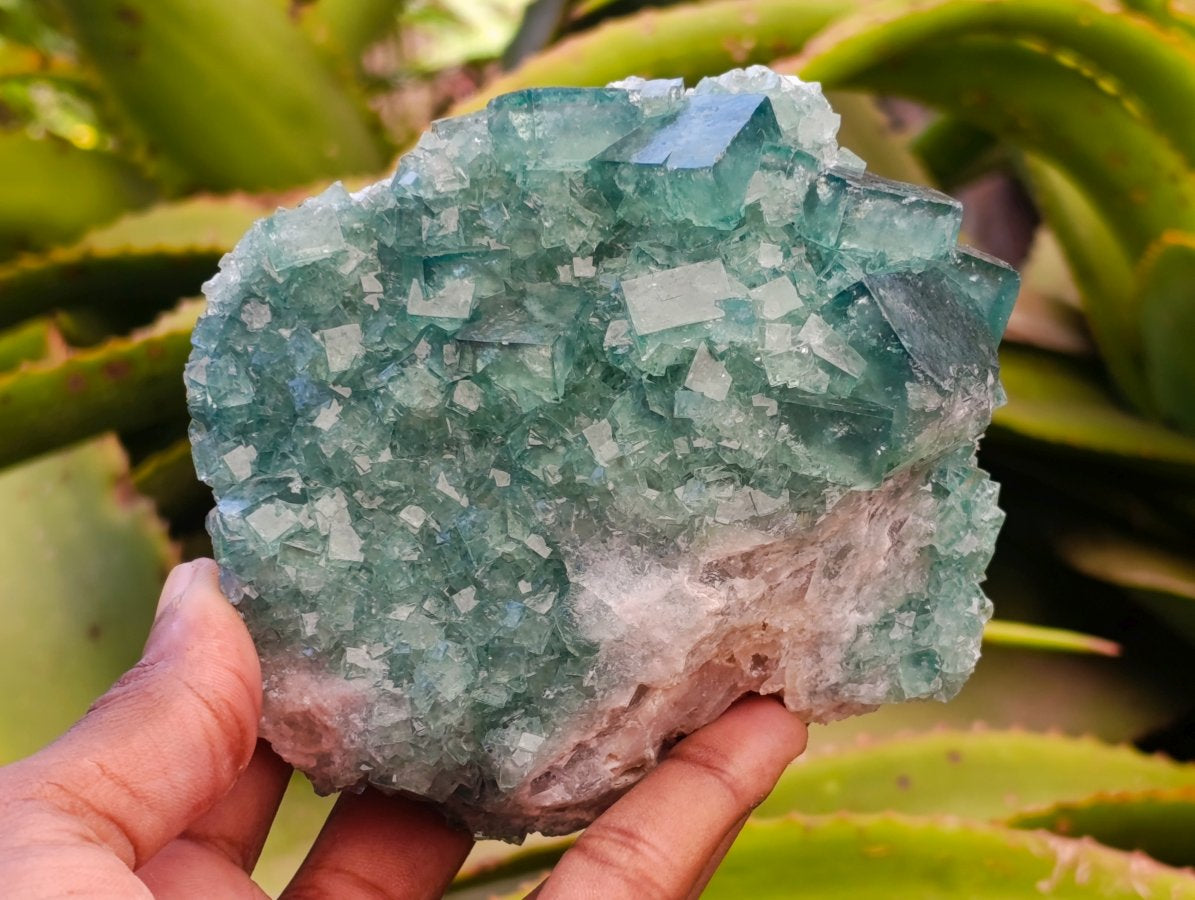 Natural Cubic Green Fluorite Cluster Specimens x 3 From Mandrosonoro, Madagascar