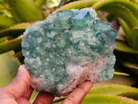 Natural Cubic Green Fluorite Cluster Specimens x 3 From Mandrosonoro, Madagascar