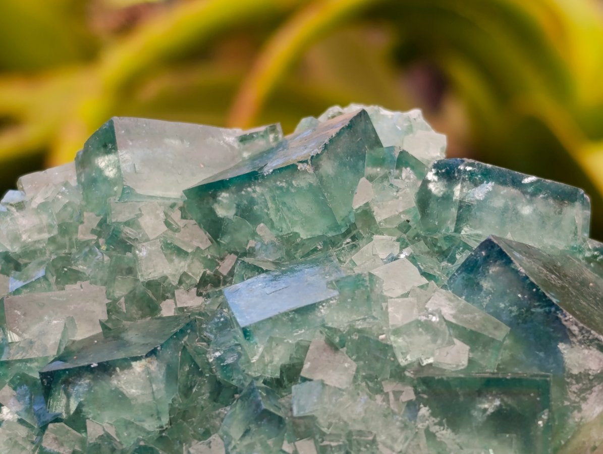 Natural Cubic Green Fluorite Cluster Specimens x 3 From Mandrosonoro, Madagascar