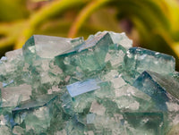 Natural Cubic Green Fluorite Cluster Specimens x 3 From Mandrosonoro, Madagascar