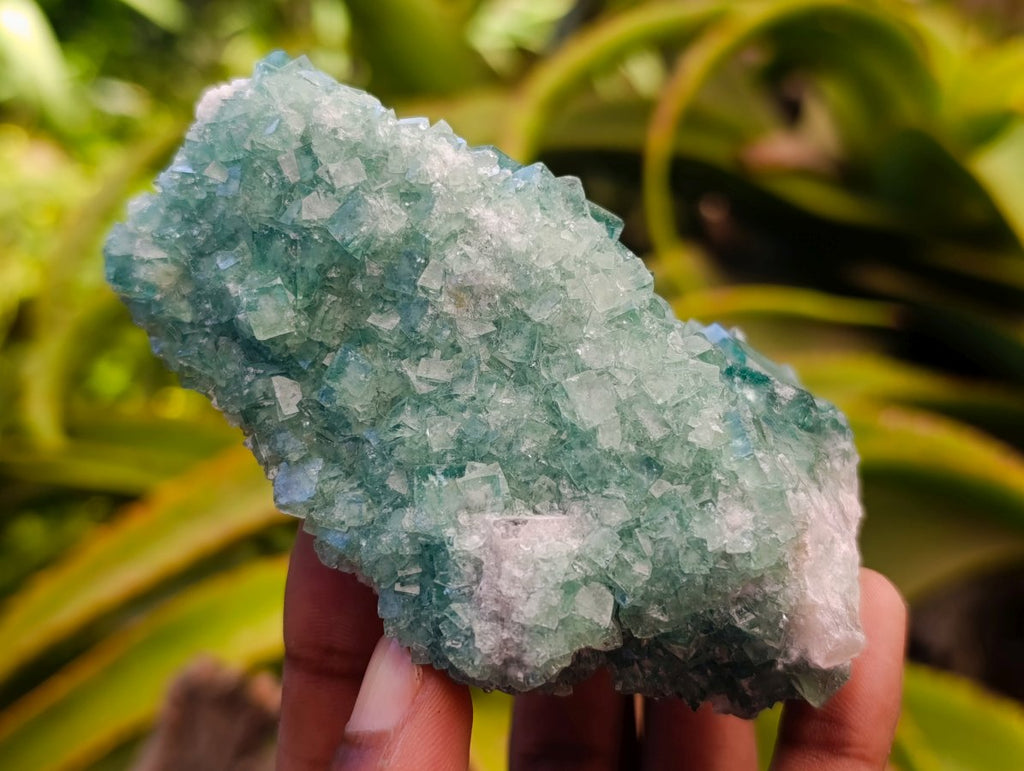 Natural Cubic Green Fluorite Cluster Specimens x 3 From Mandrosonoro, Madagascar