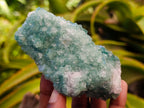 Natural Cubic Green Fluorite Cluster Specimens x 3 From Mandrosonoro, Madagascar