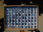 Polished Rounded Labradorite Free Forms x 70 From Madagascar