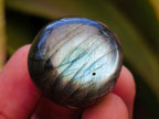 Polished Rounded Labradorite Free Forms x 70 From Madagascar
