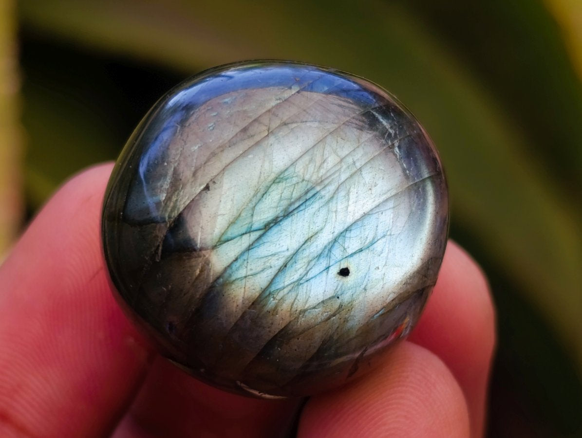 Polished Rounded Labradorite Free Forms x 70 From Madagascar