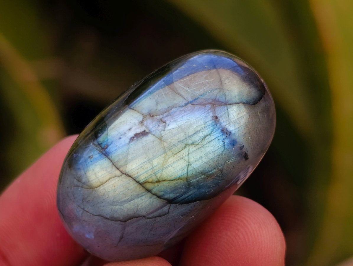 Polished Rounded Labradorite Free Forms x 70 From Madagascar