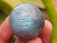 Polished Rounded Labradorite Free Forms x 70 From Madagascar